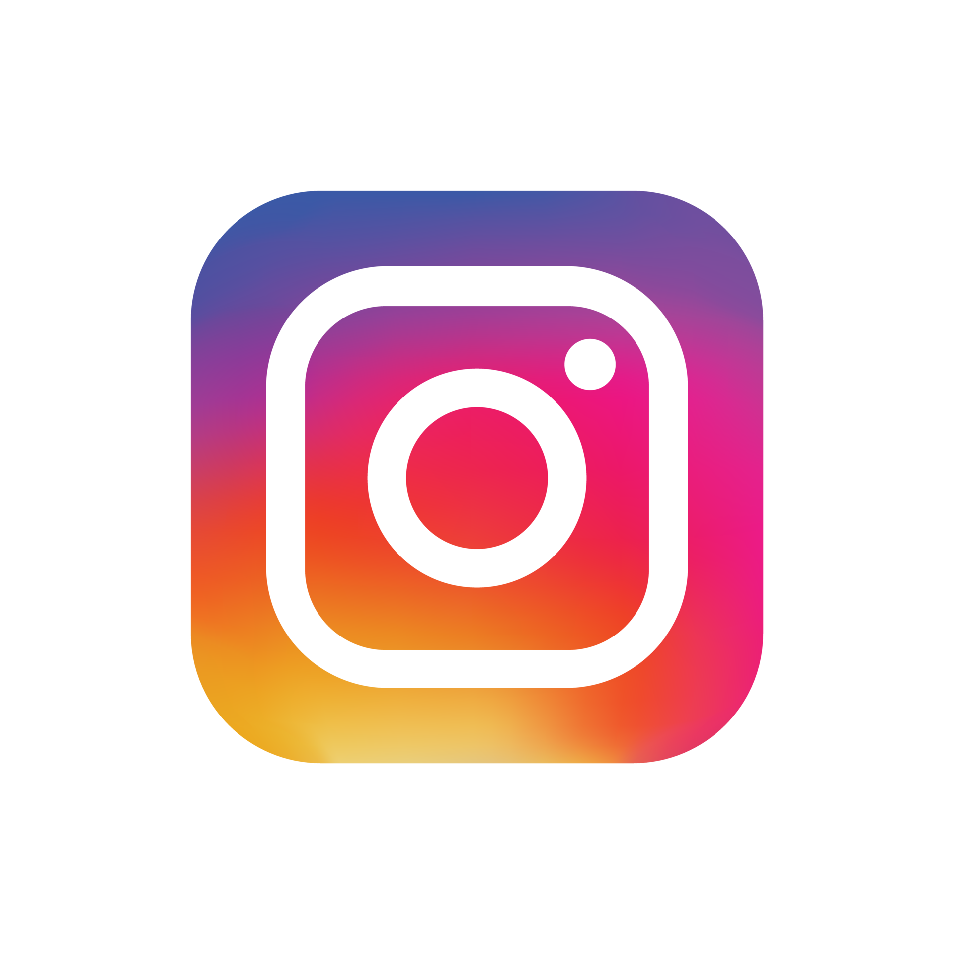 instagramIcon